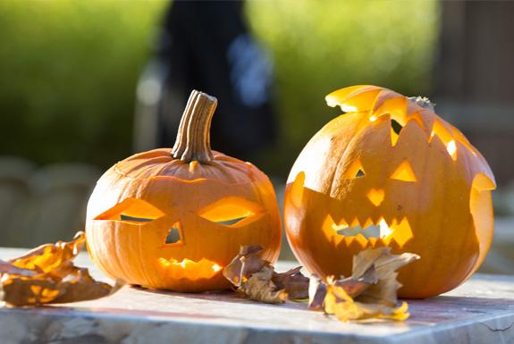 Halloween | De Katjeskelder