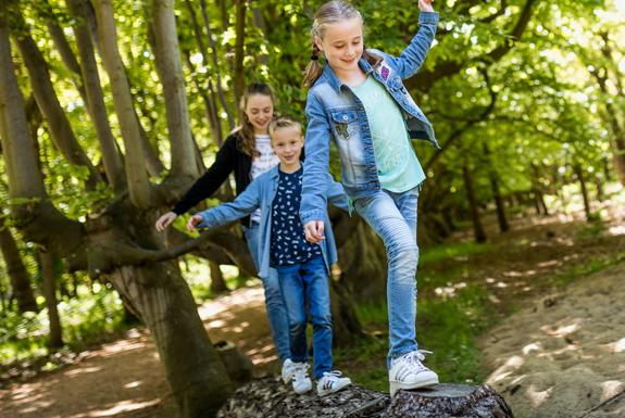Wandelen in het bos | De Katjeskelder