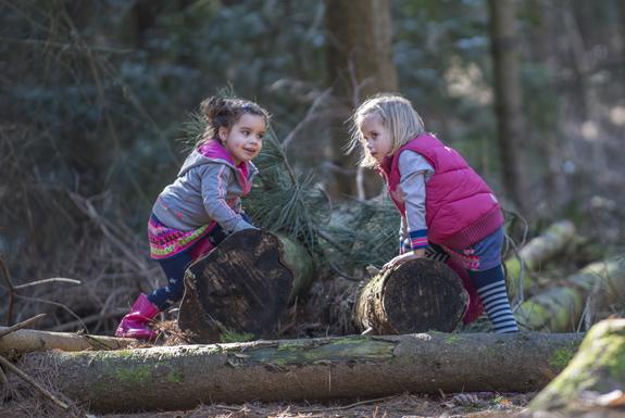 Spelen in het bos | De Katjeskelder