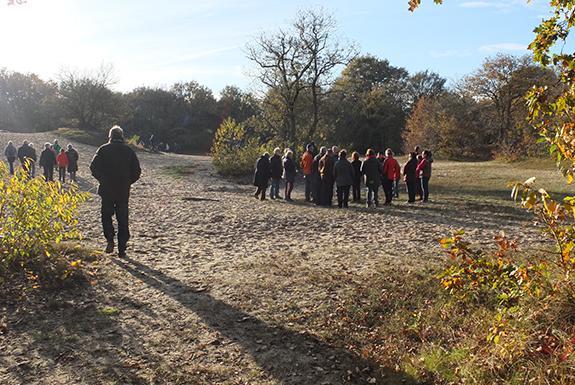 Wandelen op de heide | Ontdek de omgeving van De Katjeskelder